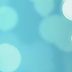 ヤモリの脱出その1